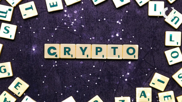 the_Top_20_Most_Used_Buzzwords_in_the_Crypto_Circuit