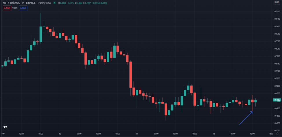 XRP/USDT- 1-Day Trading Chart (Source: TradingView)