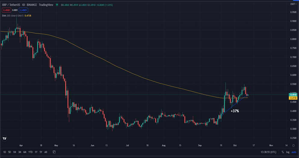 XRP/USDT- 1-Day Trading Chart (Source: TradingView)
