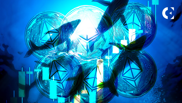 Ethereum_ICO_Whale_Moves_500_ETH_after_7_years_of_Hibernation