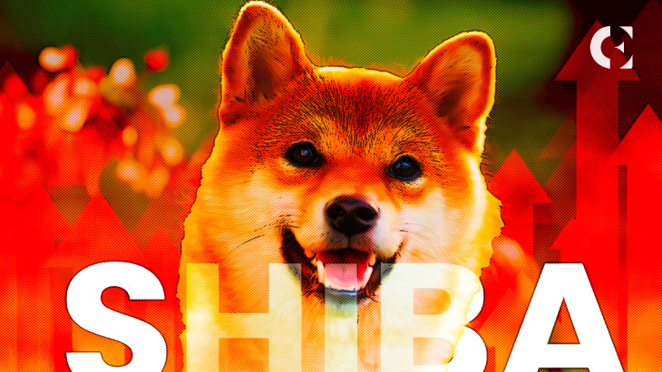Are_Shiba_Inu_SHIB_investors_becoming_cautiously_optimistic_This