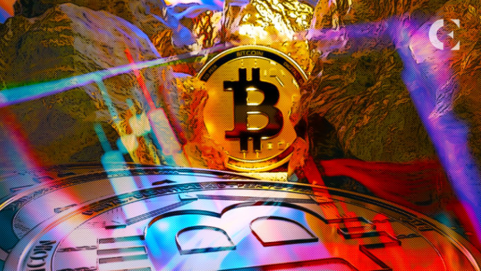 BTC_Will_Reach_$250,000_in_2023,_Says_VC_Tim_Draper_on_CNBC