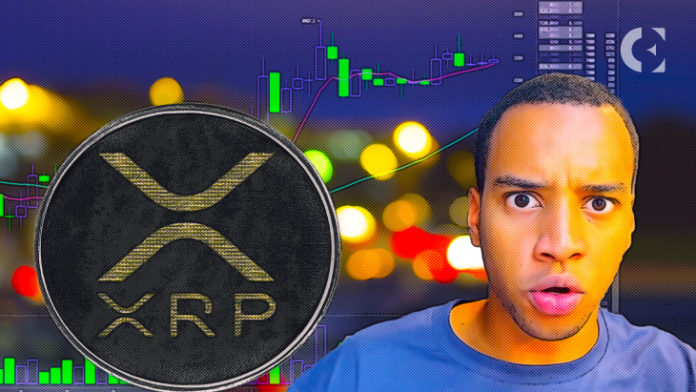Does XRP Have The Potential to Become The 1 Crypto DustyBC Crypto