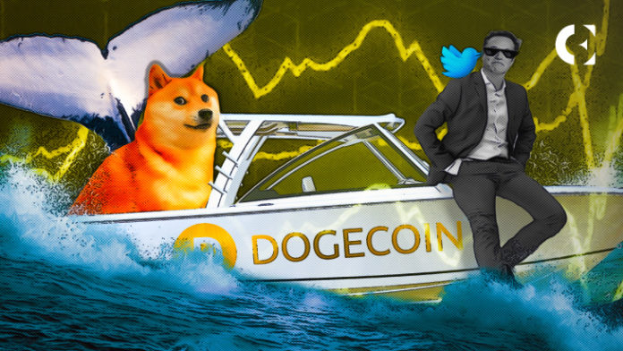 Twitter’s “Coins” Feature Poses Threat to Elon and DOGE Relationship