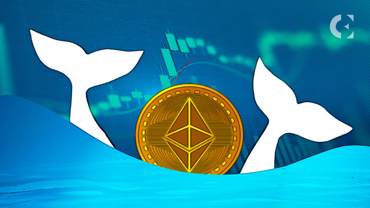 Ethereum Whales Add $700 Million in ETH in Two Days