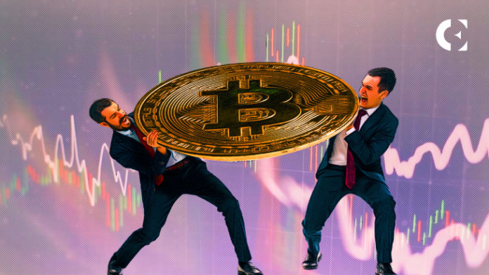If Bitcoin Halving History Repeats, BTC Could Be Near the Bottom