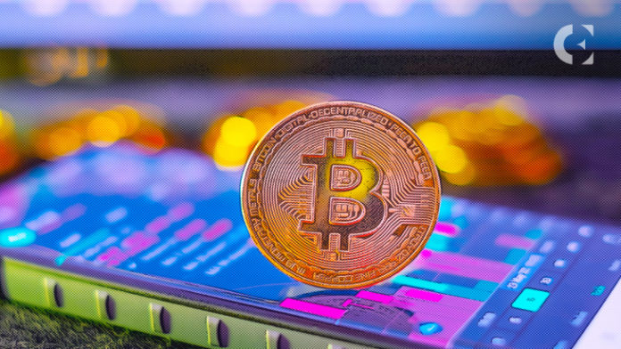 People Holding Bitcoin for the Last 5 Years Are Now in 34% Loss