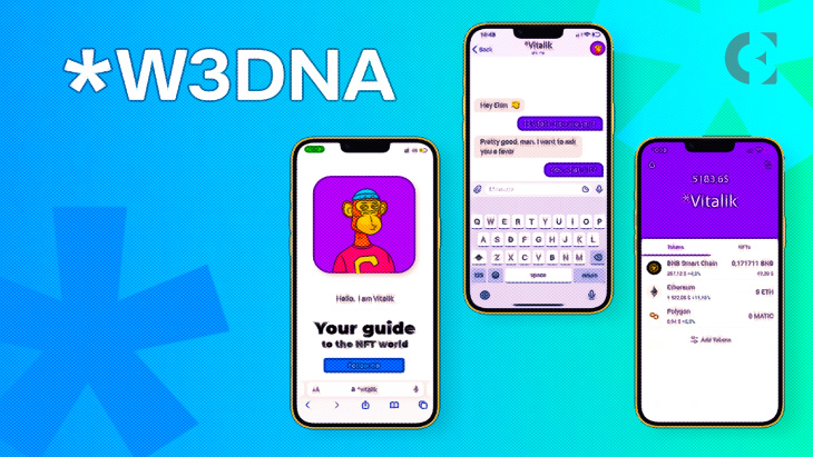 W3DNA reinvented NFT domains and erased extensions