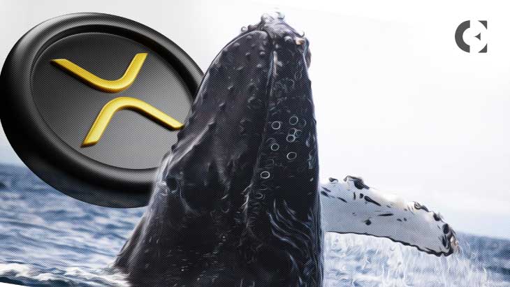 XRP Whale Transfer And SEC’s Latest Move Raises Eyebrows