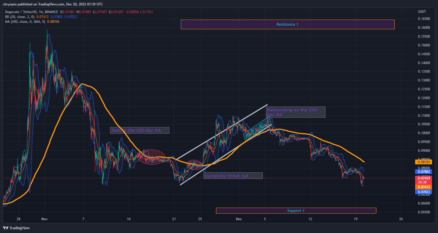 Dogecoin Goes Round the Mulberry Bush Pattern, States Peter Brandt ...