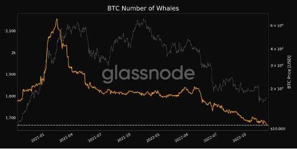 BTC number of whales