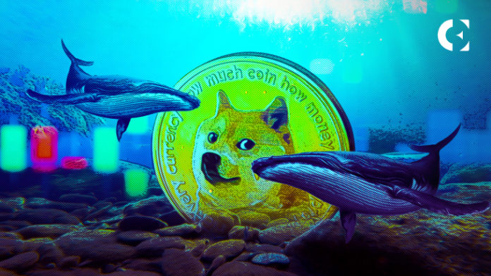 BSC Whales Amass Dogecoins; DOGE’s Price Surges in 24 Hours