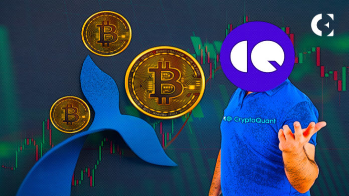 CryptoQuant CEO Raises Alarm Over Bitcoin Whale Activities