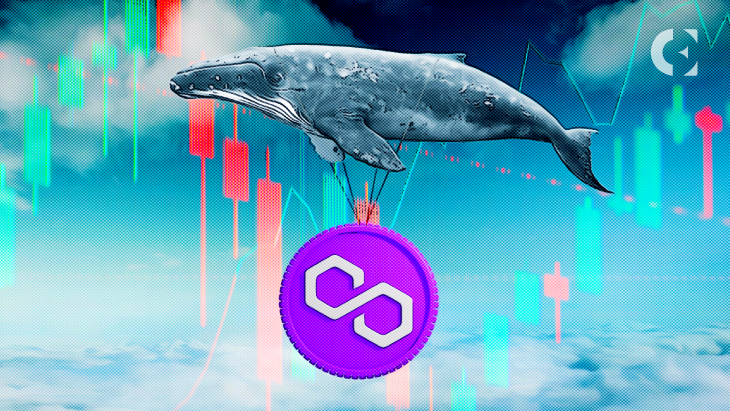MATIC Whale Trading Volume Makes Top 10 List; Rally to Follow?