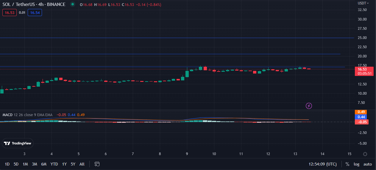 SOL Sheds 93.49% of Its All Time High Price, What Does the Future Hold ...