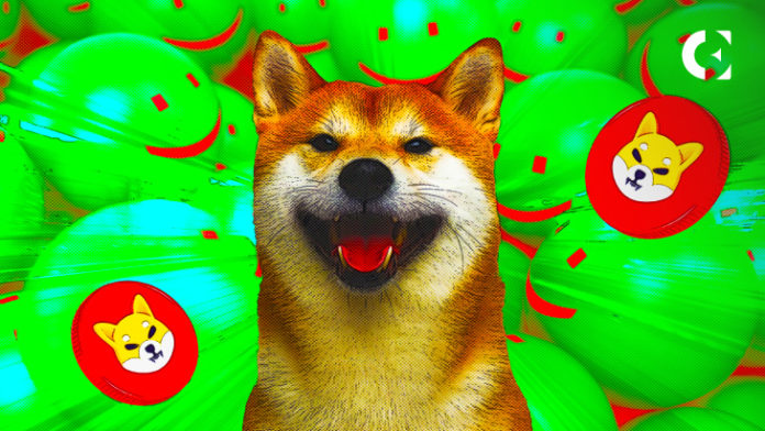 Shiba-Inu-is-the-most-popular-starter-crypto