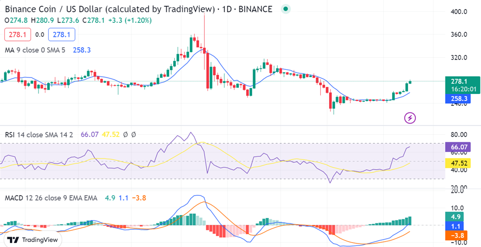 BNB/USD 1-day chart: (Source: TradingView)