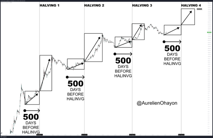 Analyst Believes BTC Price Will Shoot Up 500 Days Before Halving Coin 