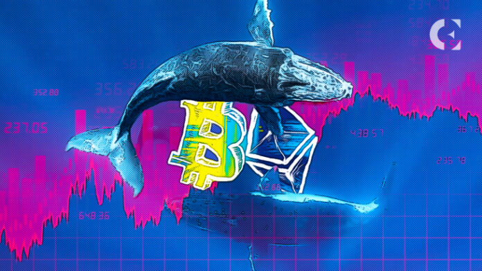 Glassnode-Whale-Activities-Dropping-on-Bitcoin-and-Ethereum