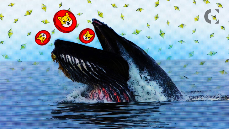 The Top 5000 ETH Whales Are Currently Holding $650+ Million SHIB