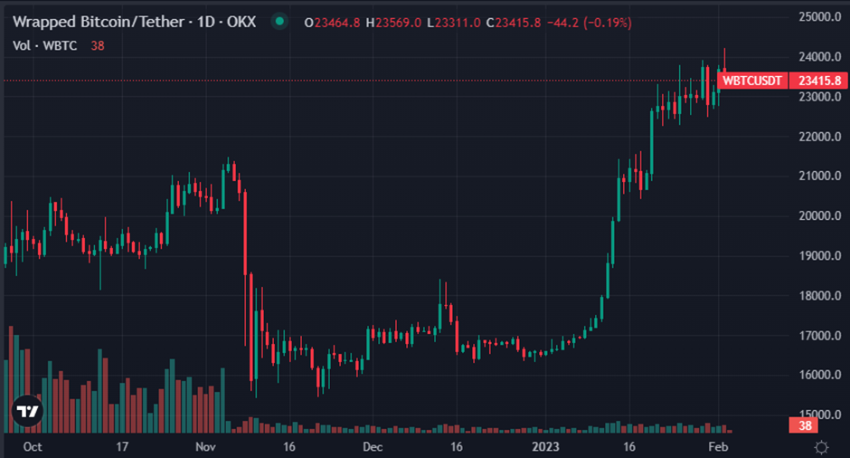 Wrapped Bitcoin / Tether US 1D (Source: TradingView)