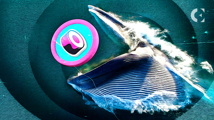 Recent Whale Transactions Foreshadow a Potential SUSHI Sell-off