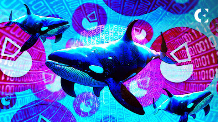 Lido_Finance_Tops_WhaleStats’_Ranking_Shortly_After_VANOM_Update