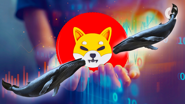 SHIB One Of The Most Held Tokens Among Top 500 ETH Whales