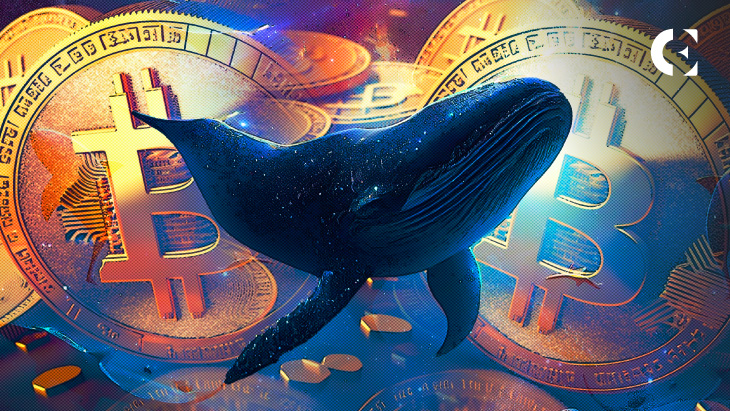 Number Of Bitcoin Whales Holding Over 1K BTC Is On The Rise