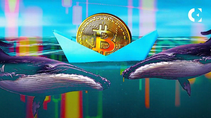 Traders Alert As Whale Transfers 8,734 BTC Between Unidentified Wallets