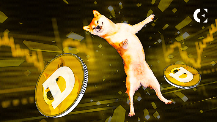 DOGE Defies Doubt, Drives Daily Transactions to New Heights