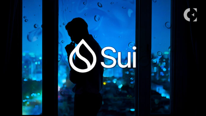 Investors Show Concern Over Proposed SUI Tokens Release Schedule