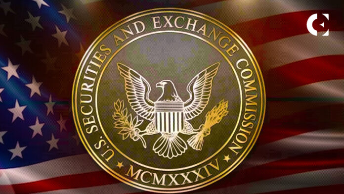 Expert Accuses the SEC