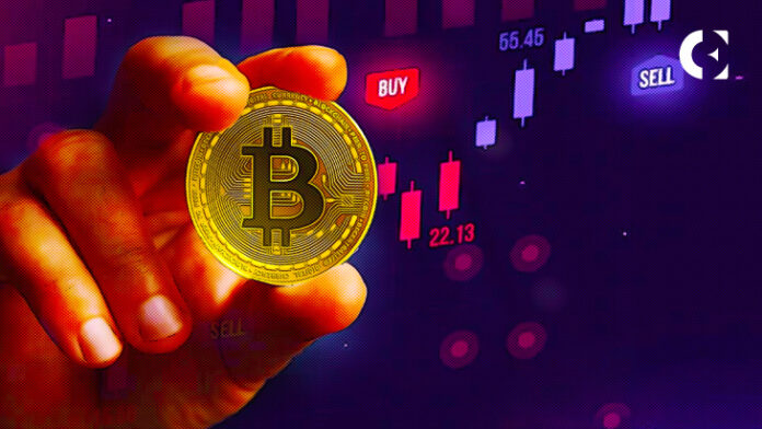 Crypto Hedge Funds Rebound, Predicting “Token Mania” in 2024