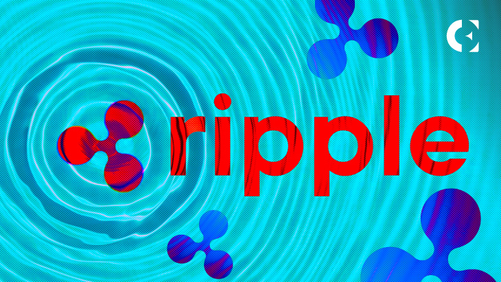 Ripple CEO Exposes Double Standards