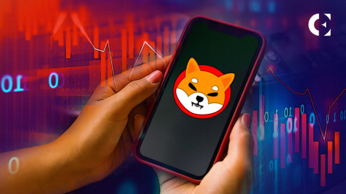 Shiba Inu Price: Will 500% Surge in Whale Activity Lead to an Imminent SHIB Rally?
