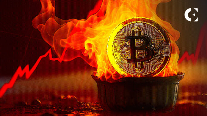 Crypto Analyst: Bitcoin Leads Crypto Market Into a Bullish Range