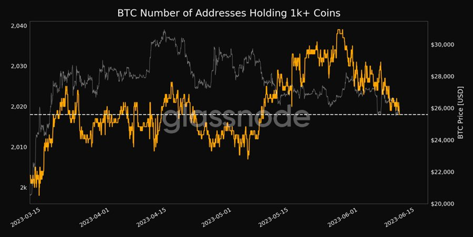 BTC number of addresses holding 1K+ coins (Source: Glassnode Alerts)