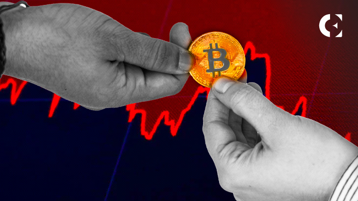 Will BTC Fall Despite Bitcoin’s Non-Whale Wallets Reach All-Time High?