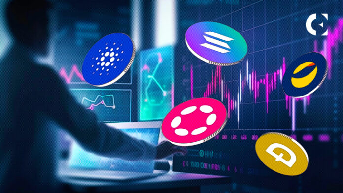 The Top 5 Altcoins This Watch This August for Massive Gains