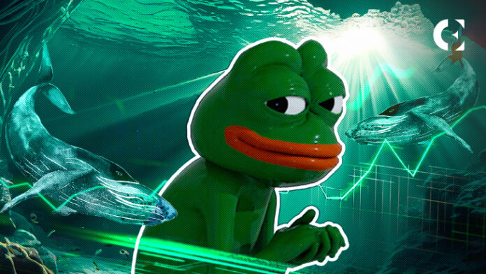 Will PEPE Continues Its Rally as Whale Accumulation Appears?