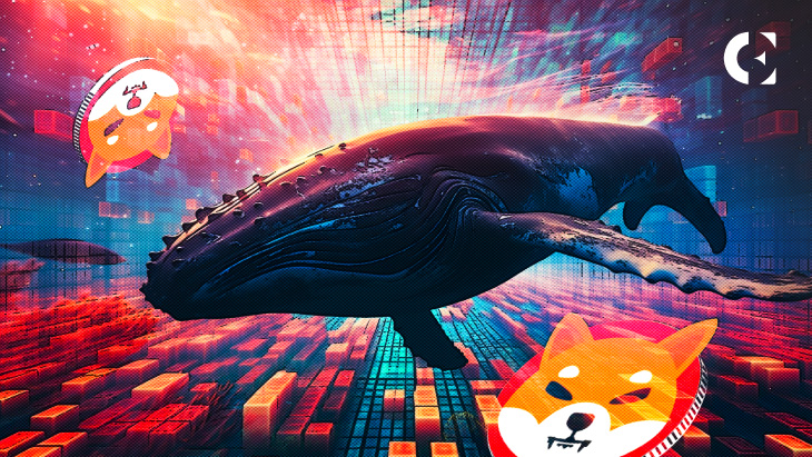 Aktivitas Whale SHIB Melonjak Saat Memecoin Ini Turun Di Bawah US$0,00001