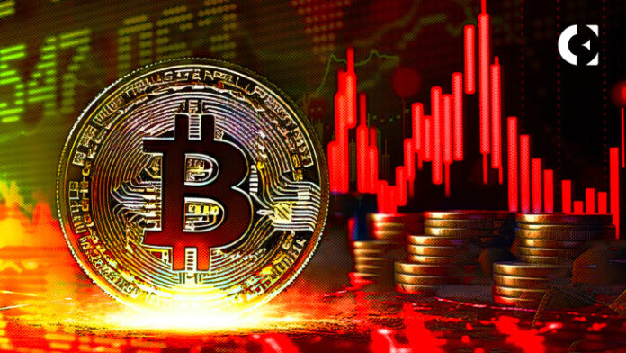 BTC and the Rest of the Market May Crash Again, Predicts Analyst