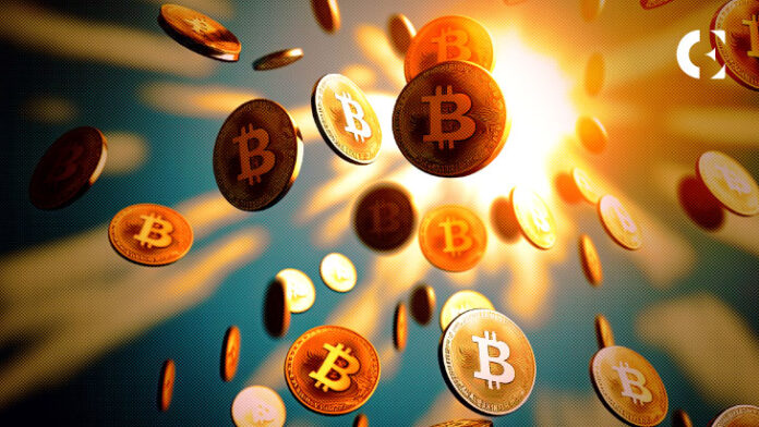 Whale Bitcoin Telah Kembali: Apakah Mereka Bersiap untuk Bull Run Lainnya?