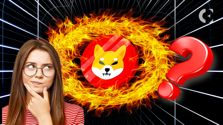 SHIB Burn Explained Everything to Know About Shiba Inu Coin Burning