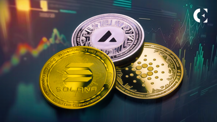 Solana, Avalanche, or Cardano: Which Crypto Has the Biggest Gains This Cycle?