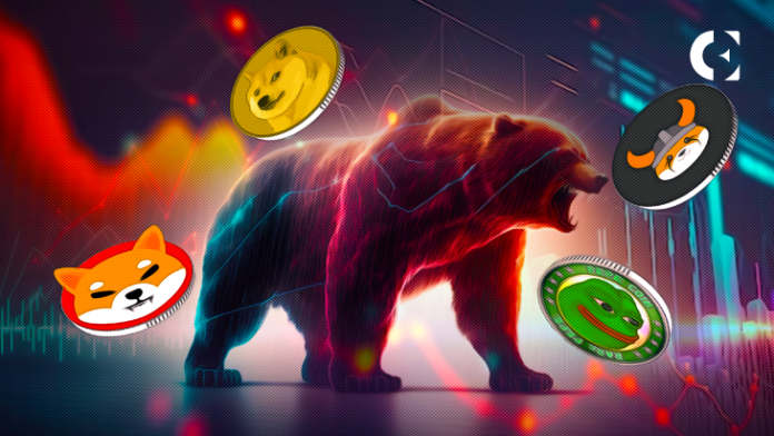 Топ токены мем-коины: Процветают на медвежьем рынке?