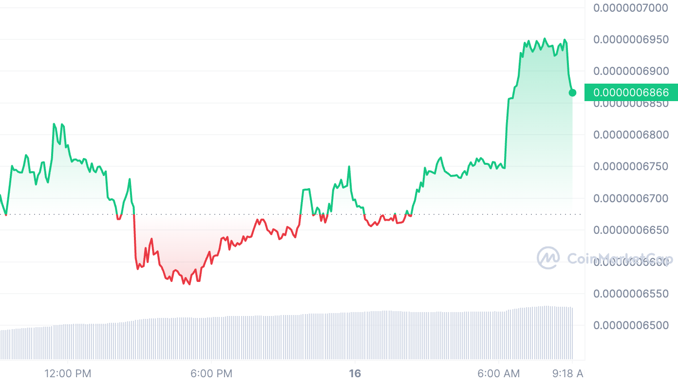 Meme Coin Craze Makes A Comeback: PEPE Records 65% Gain And MG