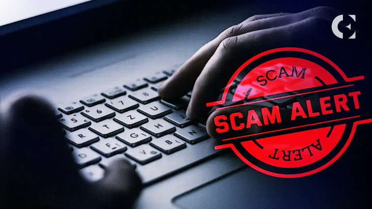 Beware! A New Crypto Scam Targets Projects Instead of Investors