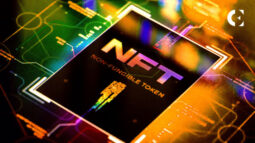Which NFT Collections Are the Future of the NFT Market?
